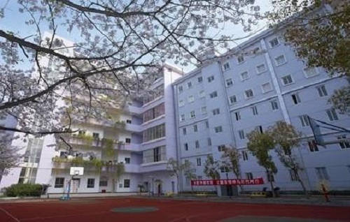 湖北艺术职业学院.jpg