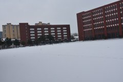 长江艺术工程职业学院2020年高职单招章程