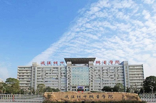 武汉城市职业学院.jpg